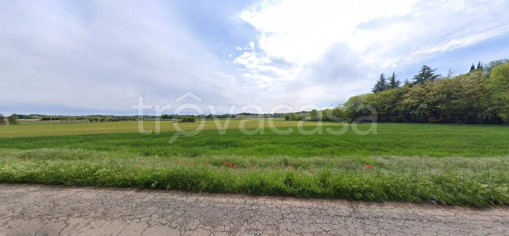 immagine annuncio 6 di 11