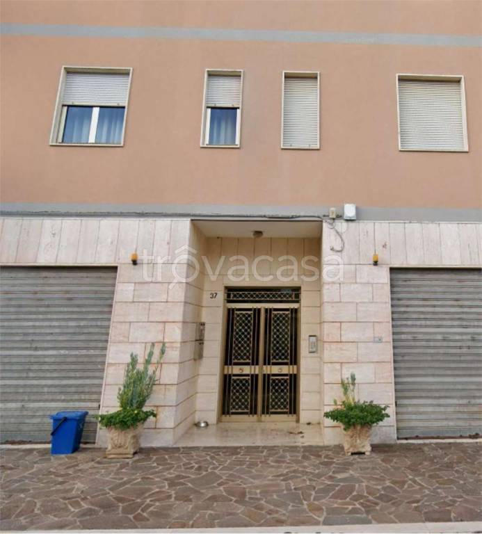 immagine annuncio 8 di 13