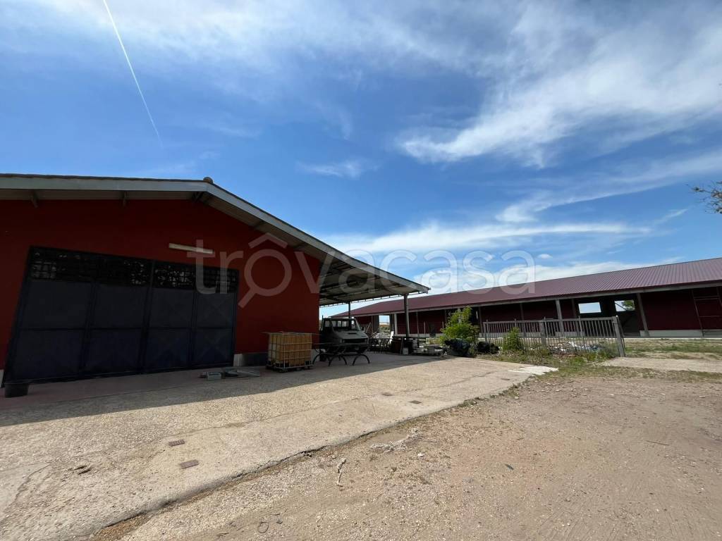 immagine annuncio 3 di 7