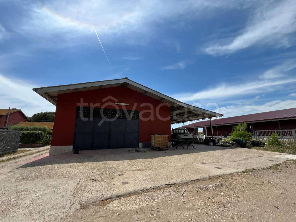 immagine annuncio 4 di 7