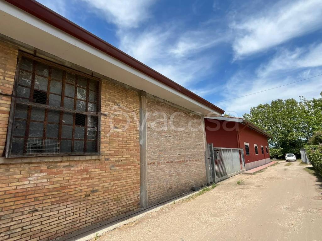 immagine annuncio 1 di 7