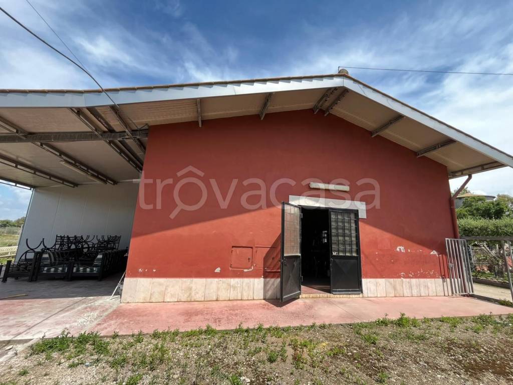 immagine annuncio 5 di 7