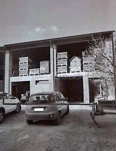 immagine annuncio 4 di 9