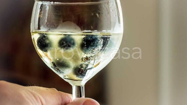 immagine annuncio 2 di 9