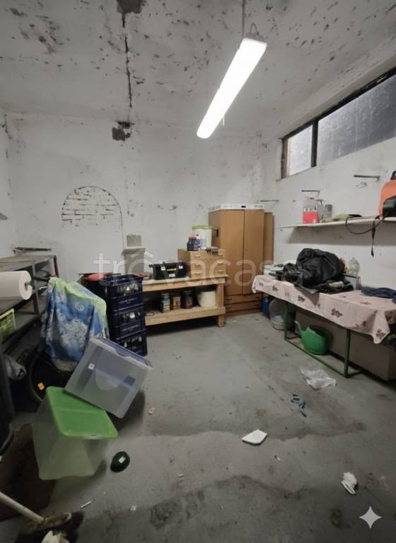 immagine annuncio 9 di 11