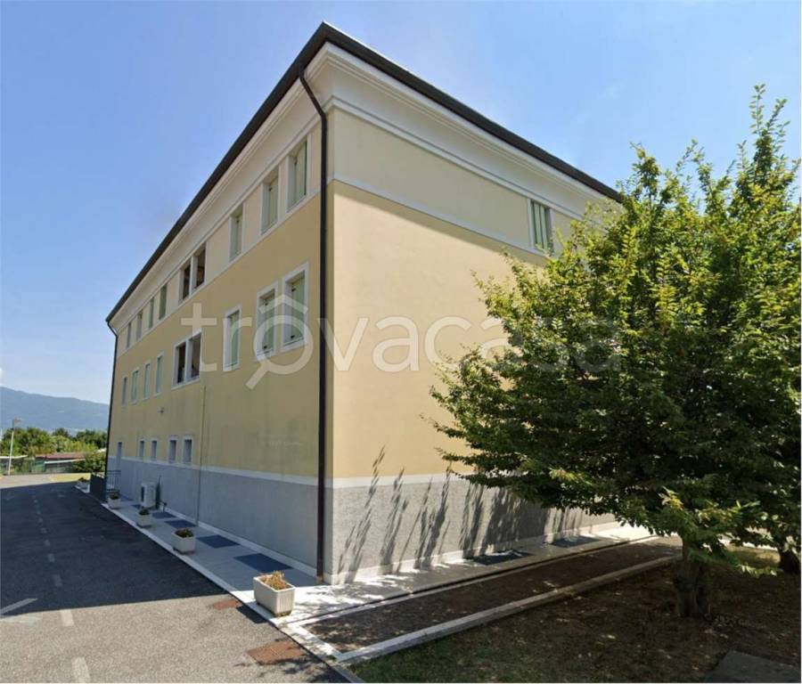 immagine annuncio 10 di 14