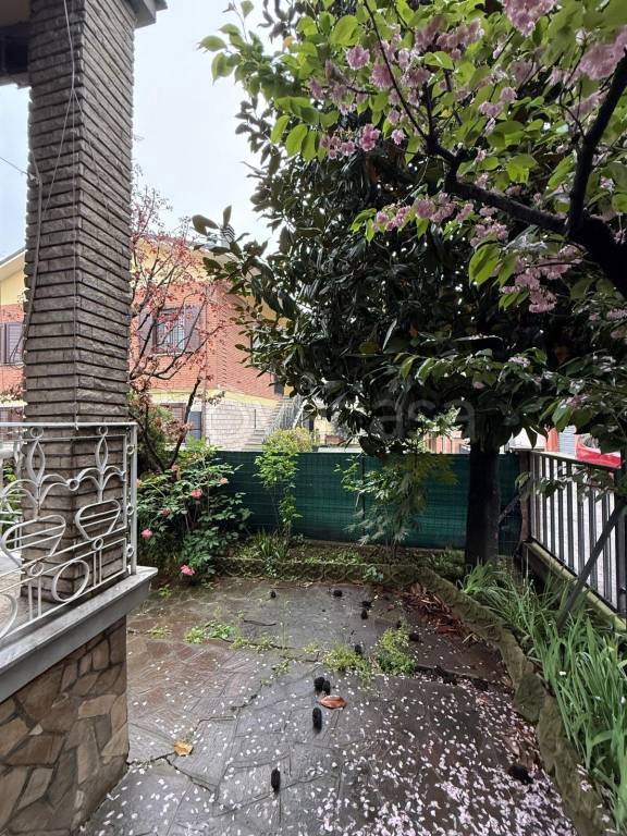 immagine annuncio 4 di 13