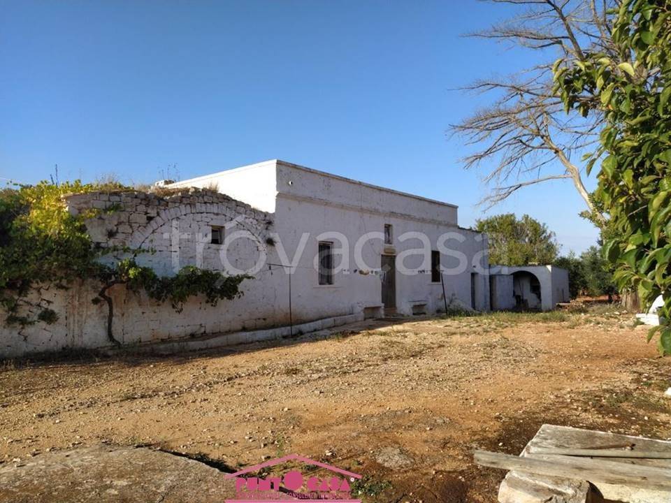 immagine annuncio 6 di 7