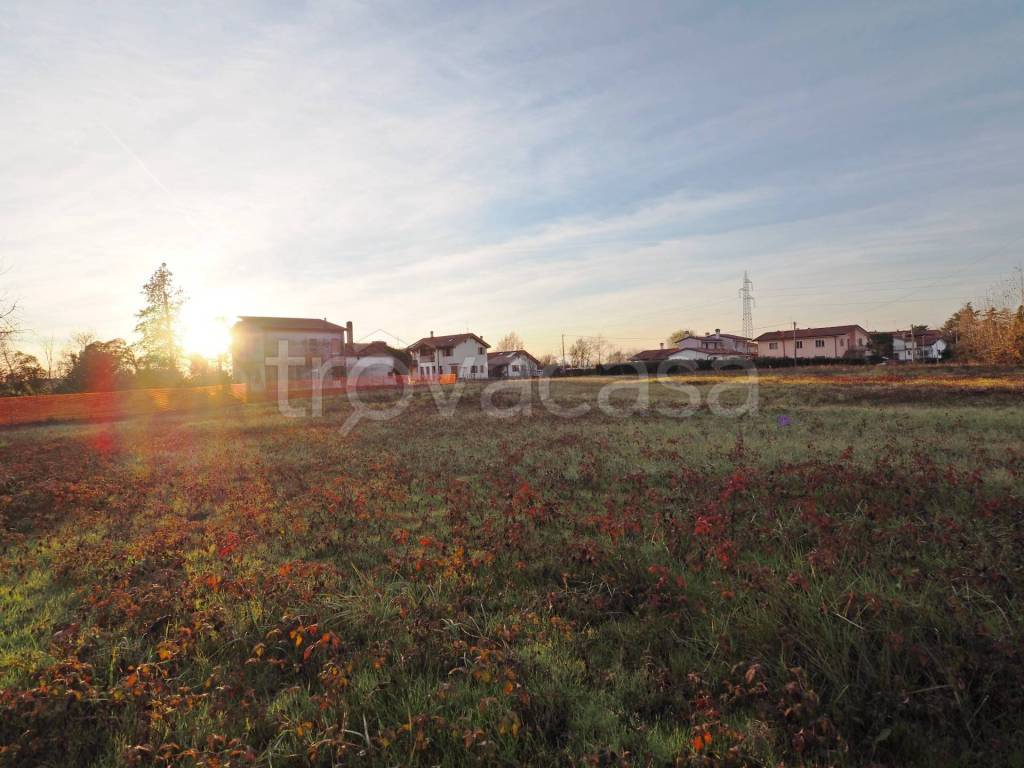 immagine annuncio 4 di 8