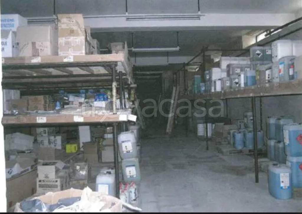 immagine annuncio 3 di 11