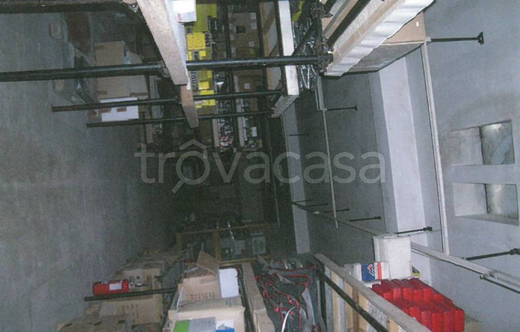 immagine annuncio 5 di 11