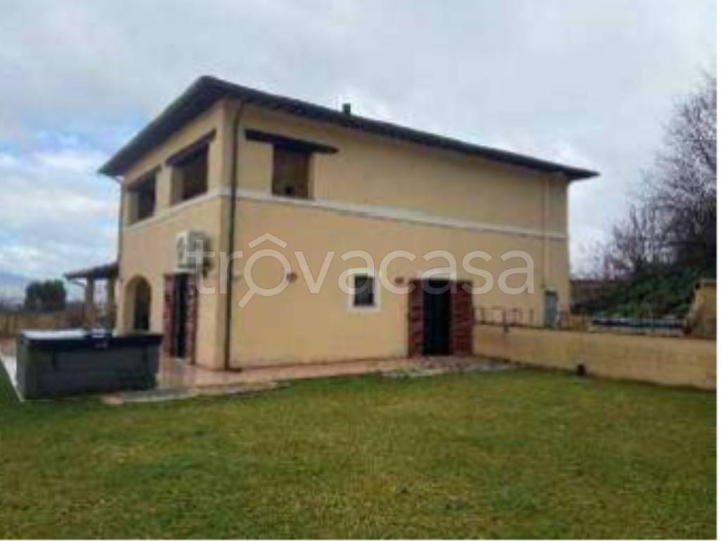 immagine annuncio 2 di 12