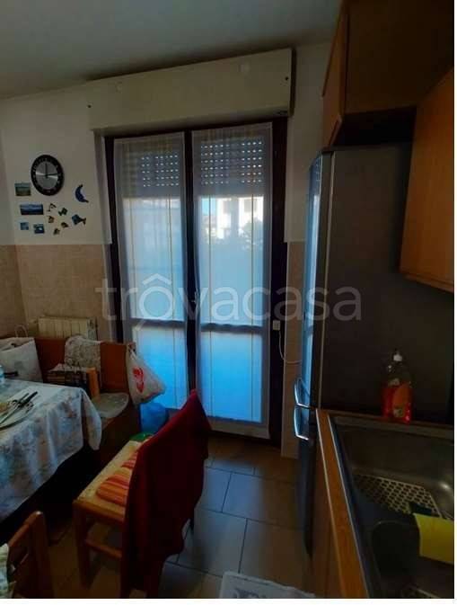 immagine annuncio 3 di 12