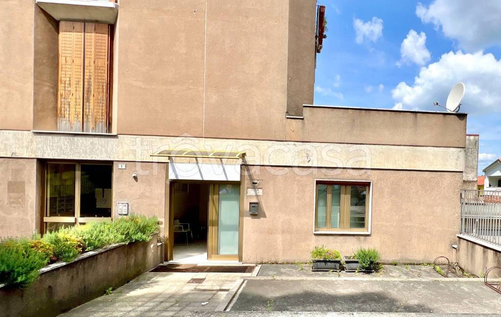 immagine annuncio 12 di 13