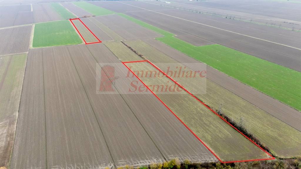 immagine annuncio 3 di 4