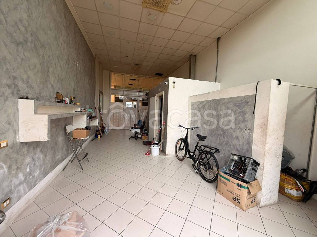 immagine annuncio 3 di 14