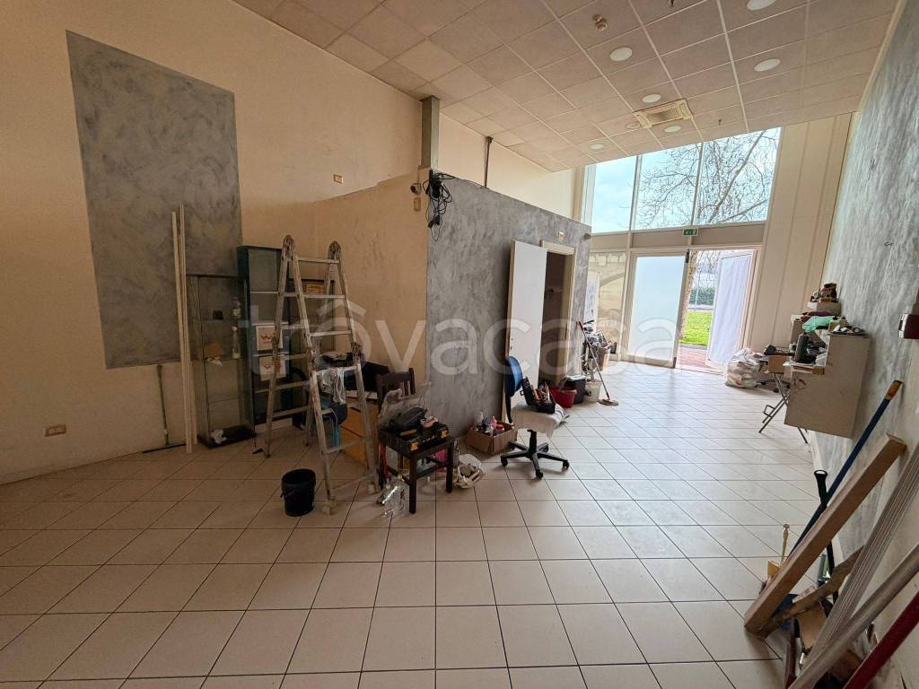 immagine annuncio 6 di 14