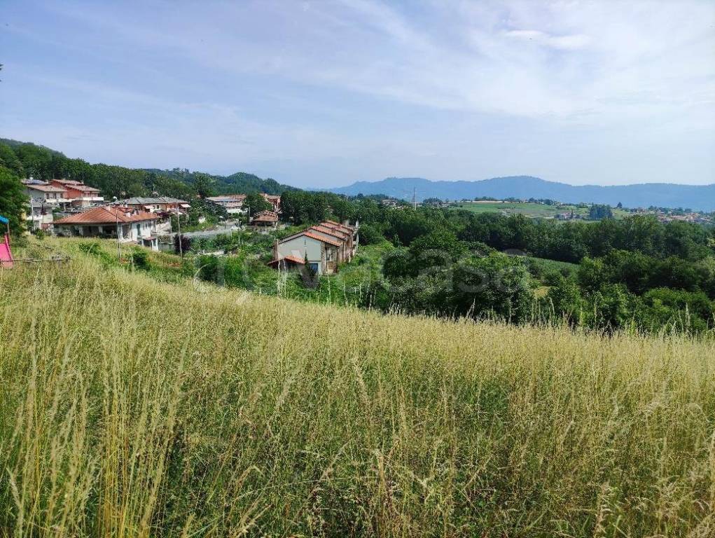 immagine annuncio 2 di 9