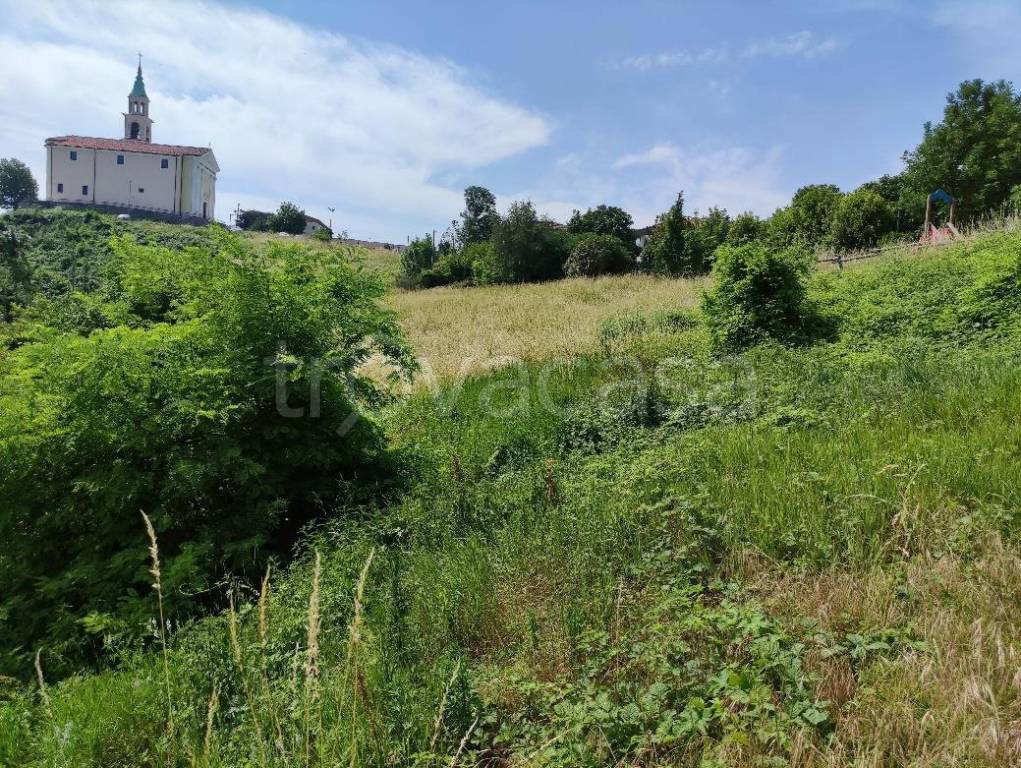 immagine annuncio 3 di 9