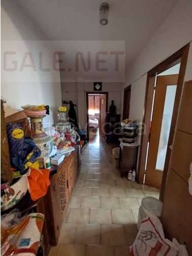 immagine annuncio 7 di 14