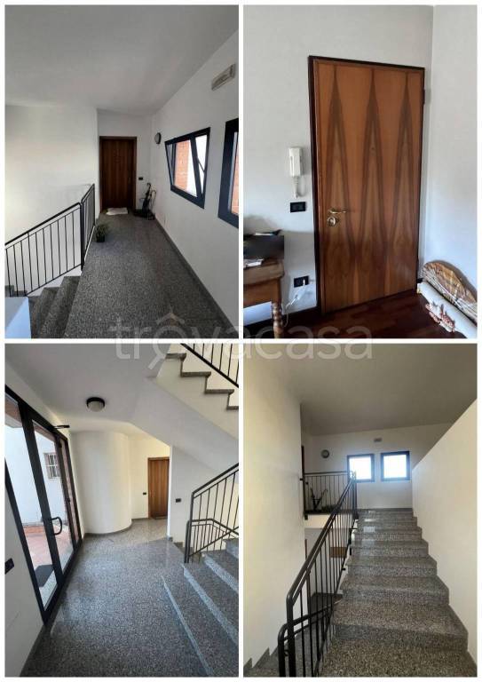 immagine annuncio 3 di 14