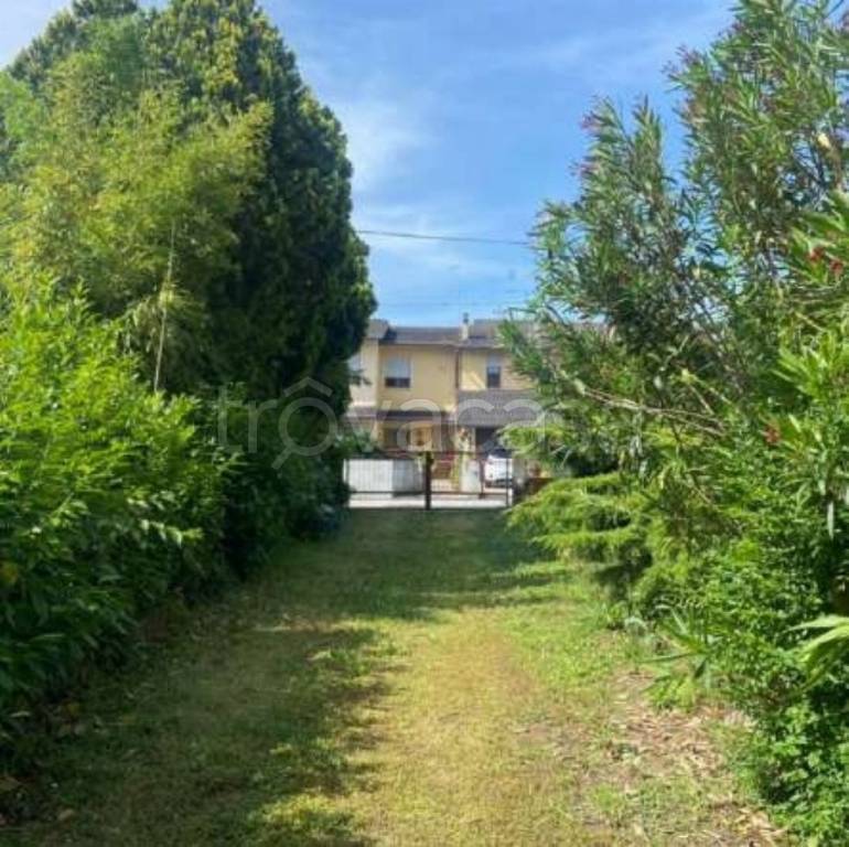 immagine annuncio 5 di 15