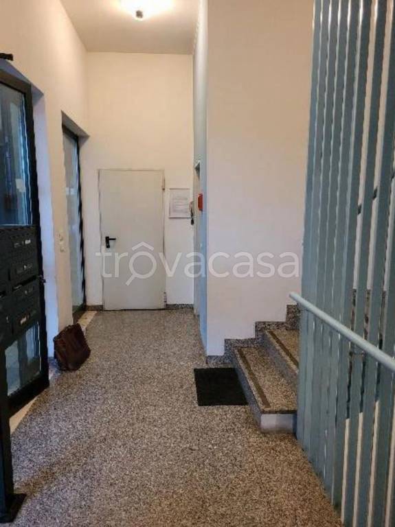 immagine annuncio 6 di 14