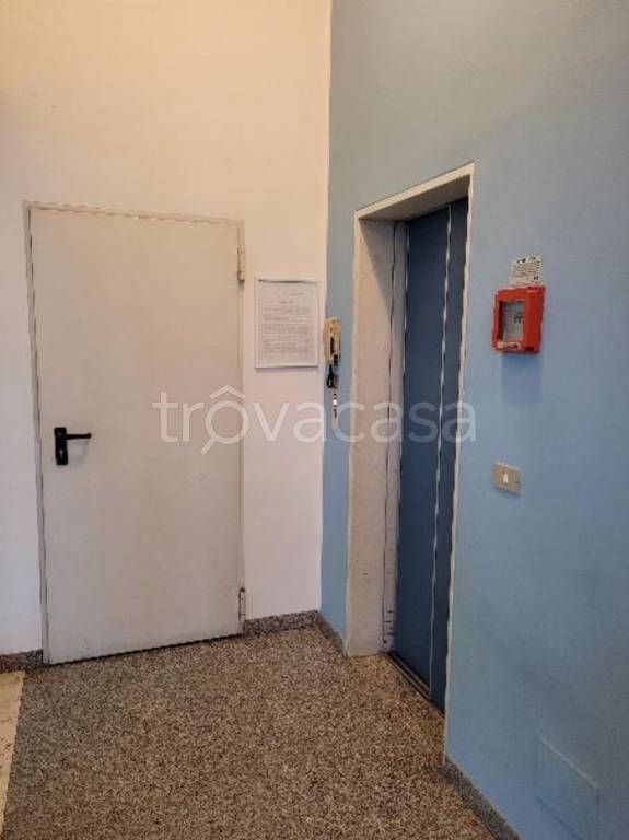 immagine annuncio 8 di 14