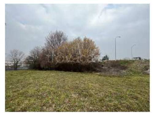 immagine annuncio 4 di 8