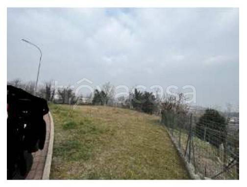 immagine annuncio 6 di 8