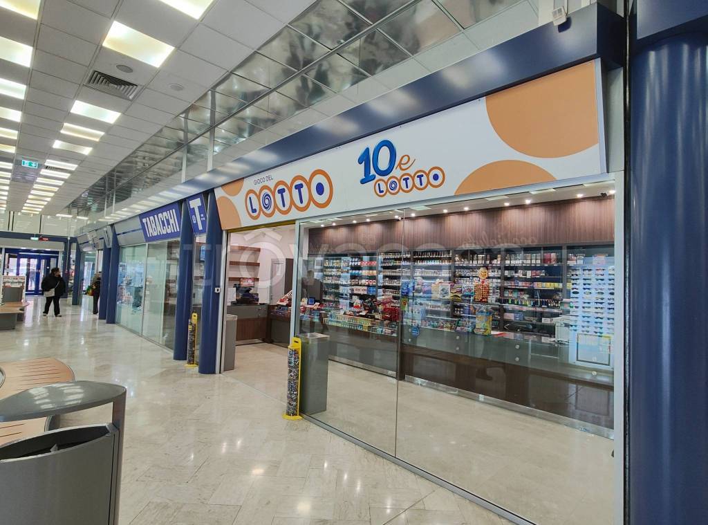 immagine annuncio 7 di 14