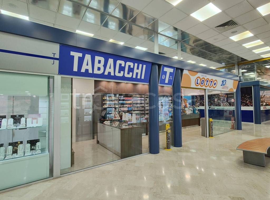 immagine annuncio 9 di 14