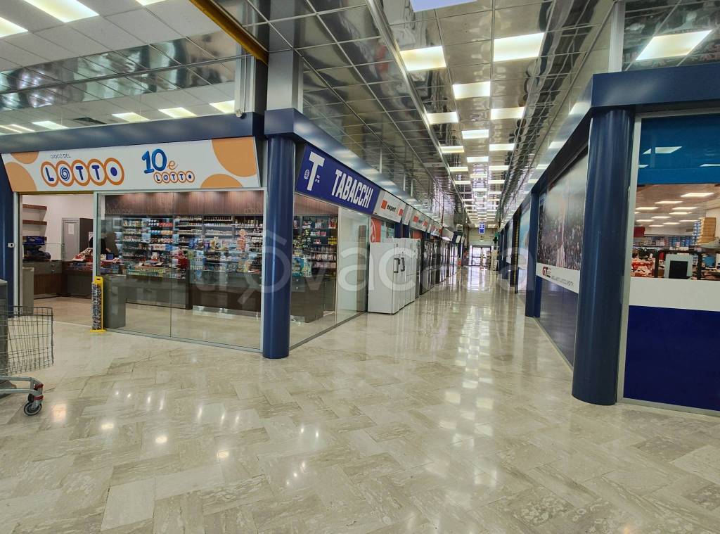 immagine annuncio 10 di 14