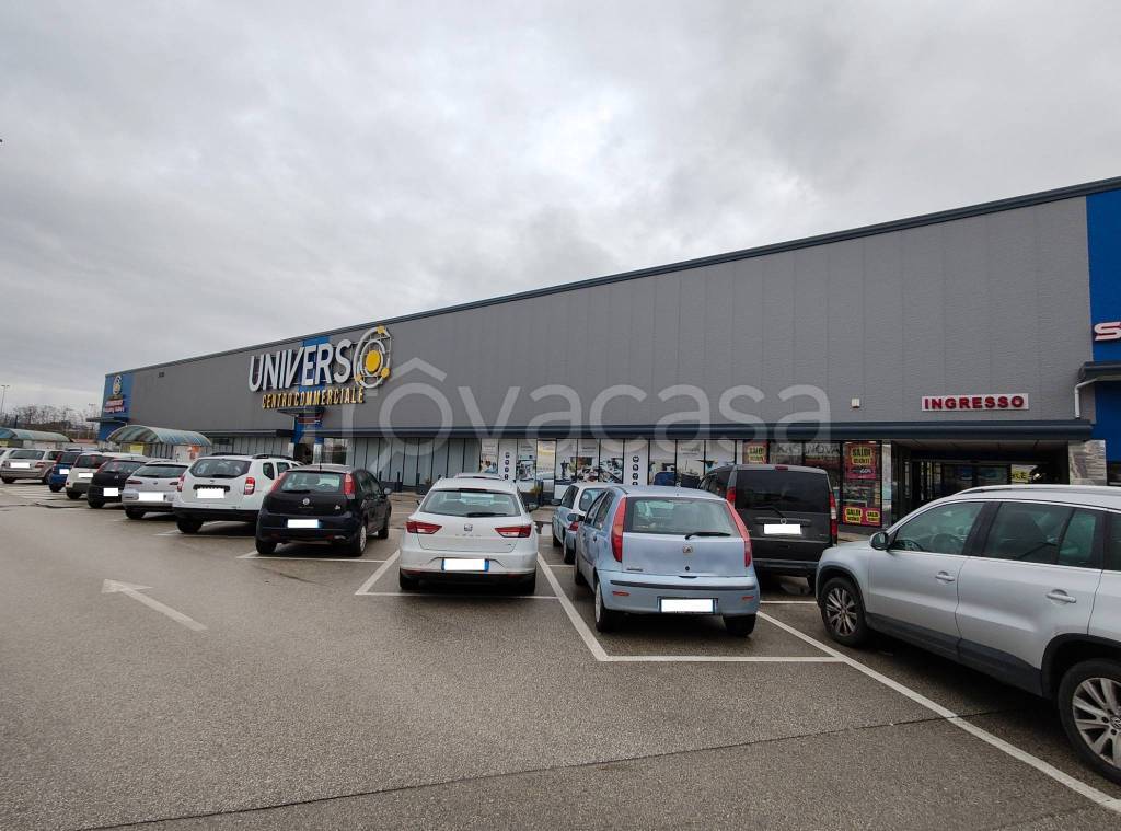 immagine annuncio 11 di 14