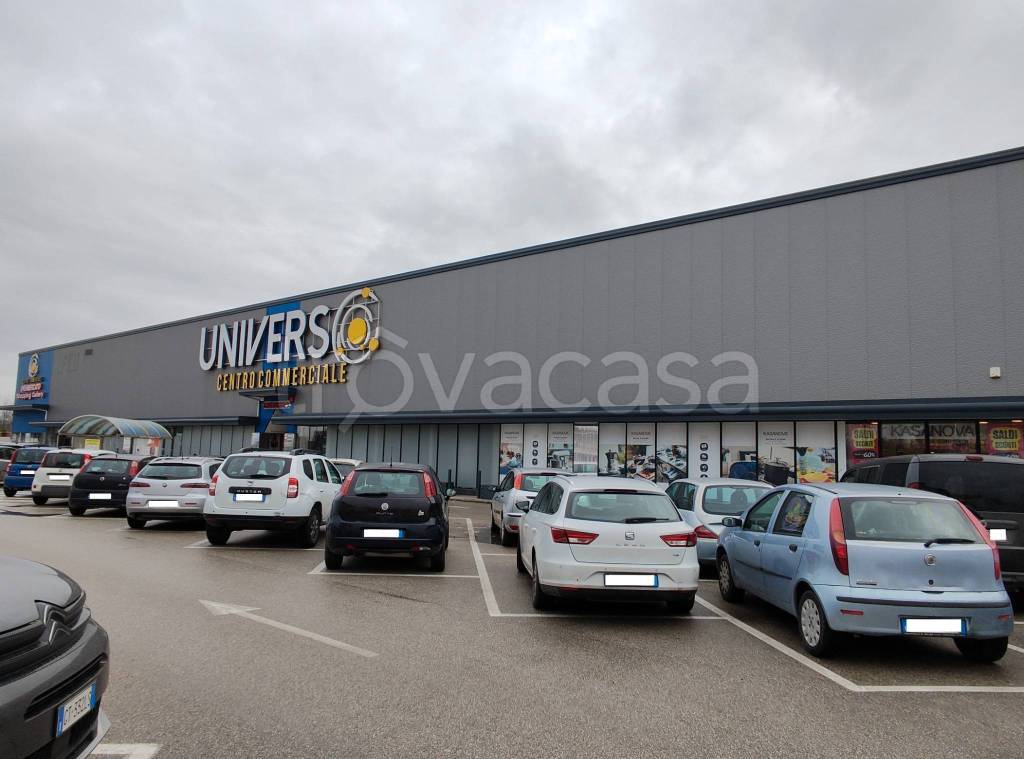 immagine annuncio 12 di 14