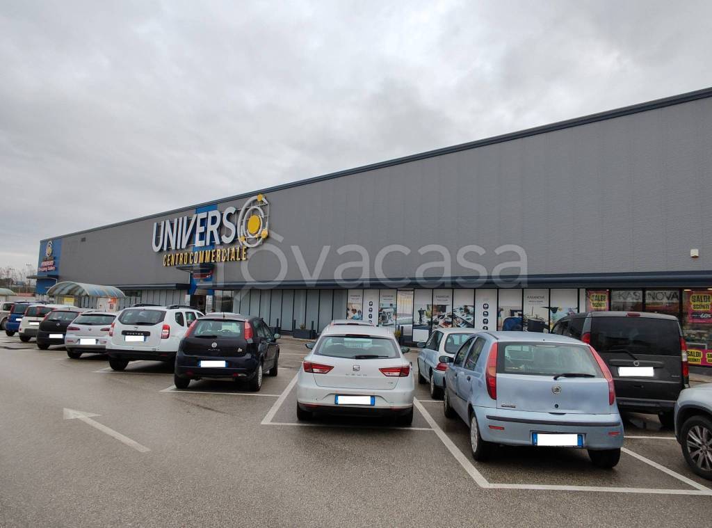 immagine annuncio 13 di 14