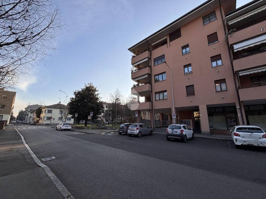 immagine annuncio 3 di 12