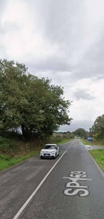 immagine annuncio 7 di 15