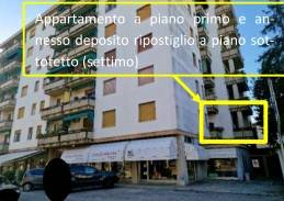 immagine annuncio 1 di 2