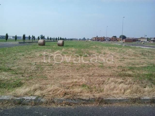 immagine annuncio 3 di 7