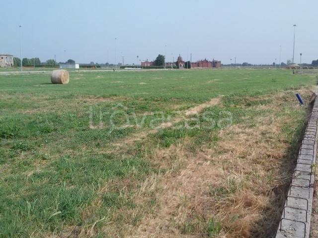 immagine annuncio 5 di 7