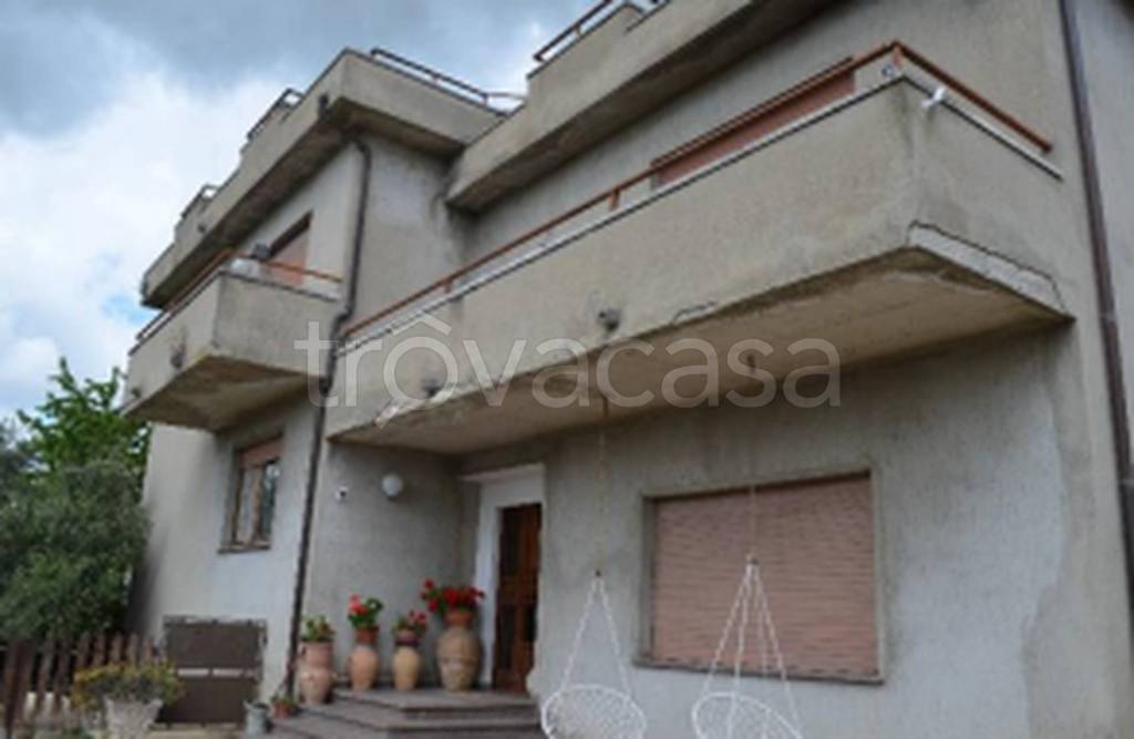 immagine annuncio 7 di 11