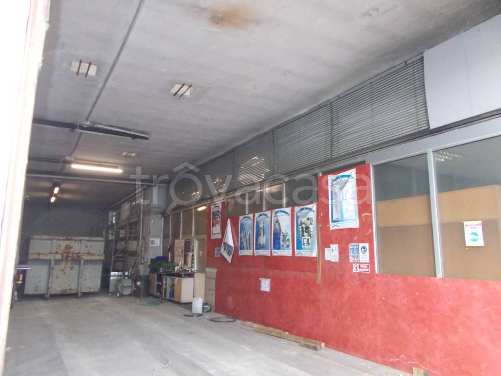 immagine annuncio 3 di 6