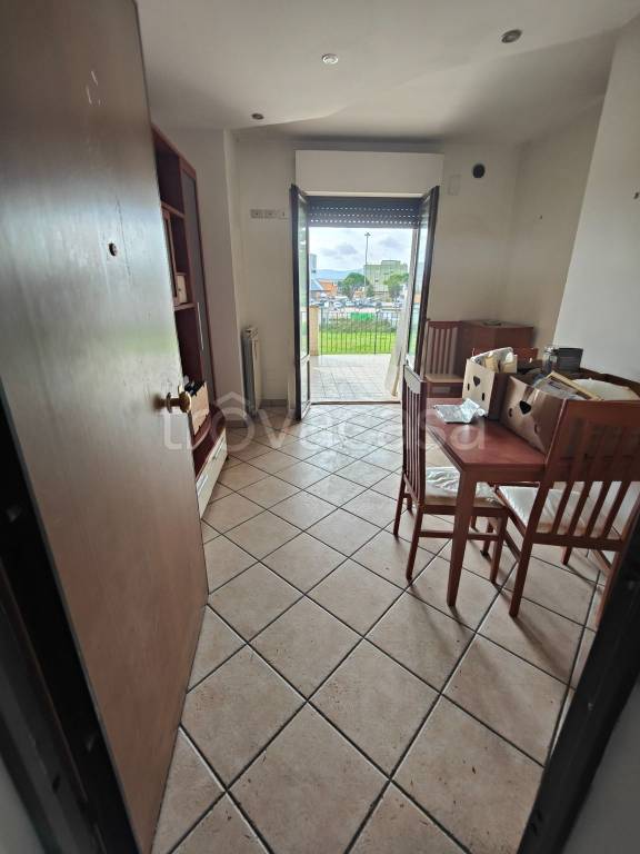 immagine annuncio 2 di 12