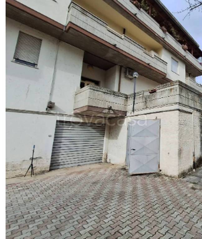 immagine annuncio 5 di 12