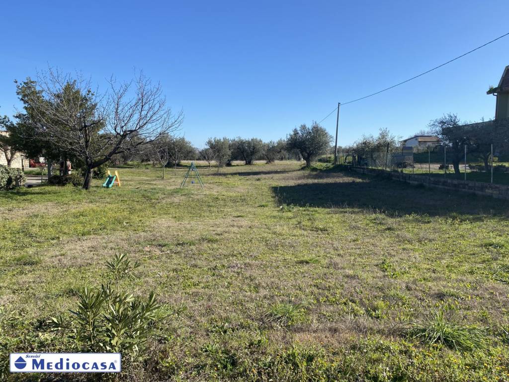 immagine annuncio 9 di 14