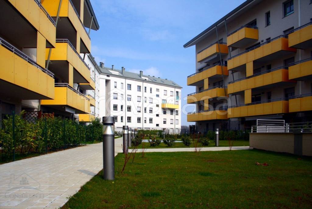 immagine annuncio 3 di 6