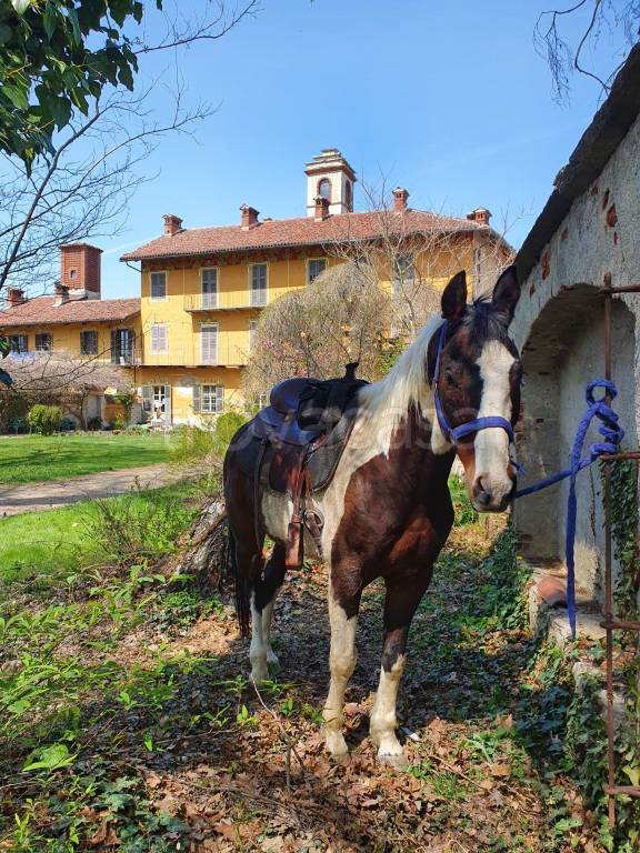 immagine annuncio 14 di 15