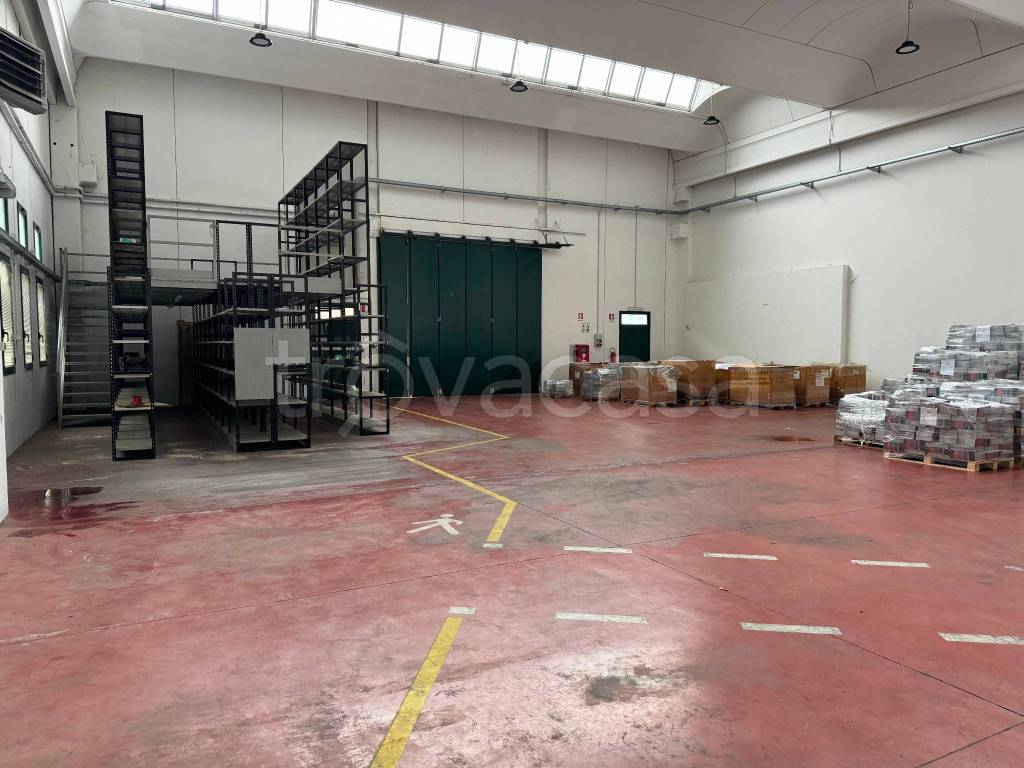 immagine annuncio 3 di 6