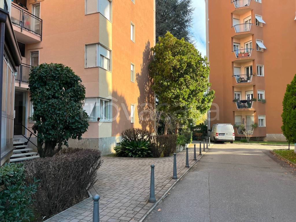 immagine annuncio 9 di 12